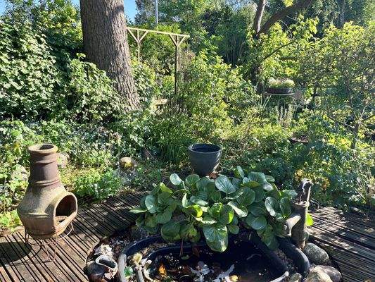 Gartenimpression