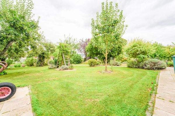 Einblick in den Garten