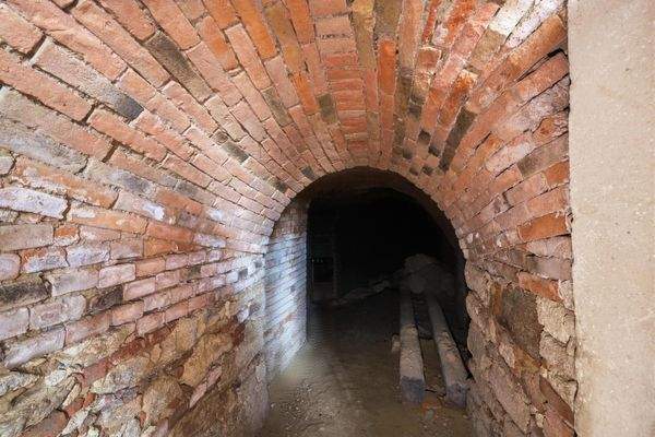 IMG_2622_autoremove_11818915