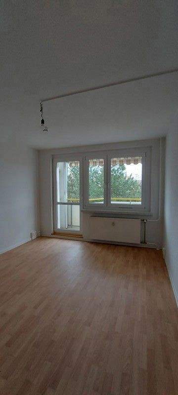 Dresden Wohnungen, Dresden Wohnung mieten