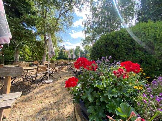 Pflanzenpracht im Gartencafé