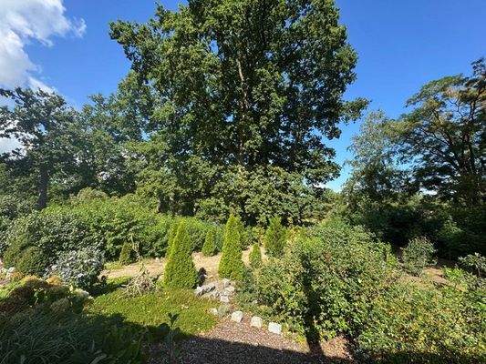 WhatsApp Image 2025-08-26 at 12.28.58 (5)