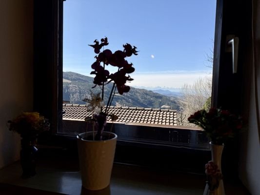 Kompagnon Immobilien Aussicht Wohnzimmer
