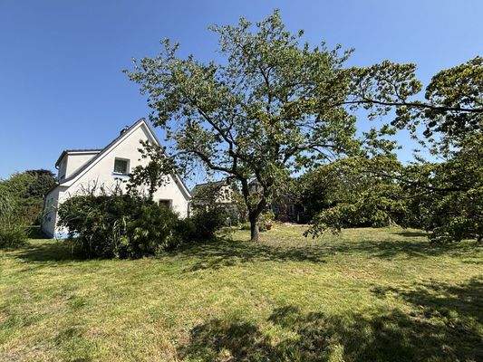 Grundstück und Hausansicht