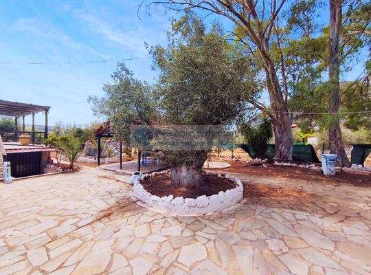 img_65b3dcaf-b9ac-4913-ab68-0624d390bfe3