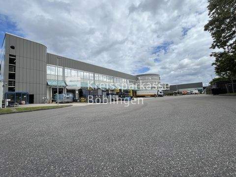 Böblingen Halle, Böblingen Hallenfläche