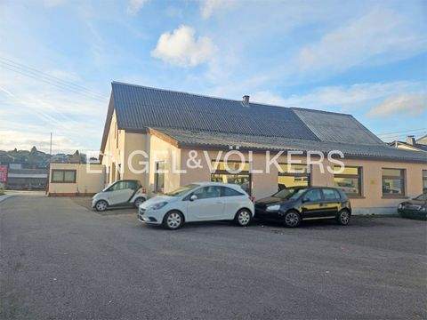 Mogendorf Halle, Mogendorf Hallenfläche