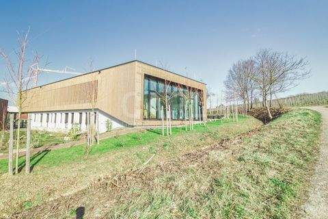 Neckarsulm Büros, Büroräume, Büroflächen 