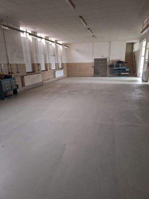 Echem Halle, Echem Hallenfläche