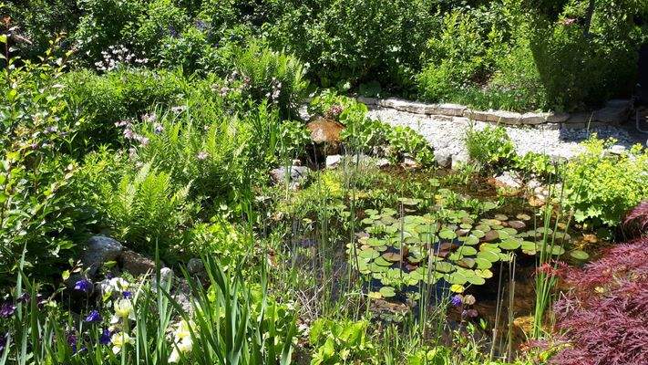 Gartenteich mit Sprudelstein