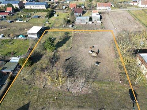 Dalwitz Grundstücke, Dalwitz Grundstück kaufen