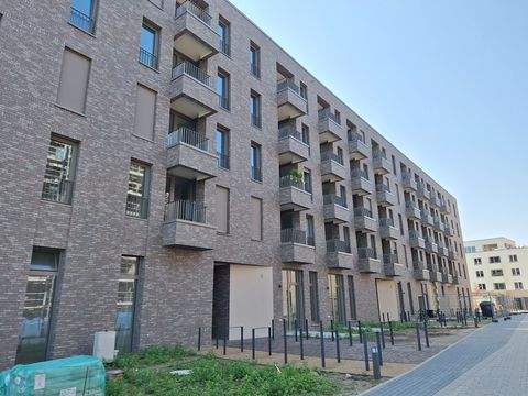 Greifswald Wohnungen, Greifswald Wohnung mieten