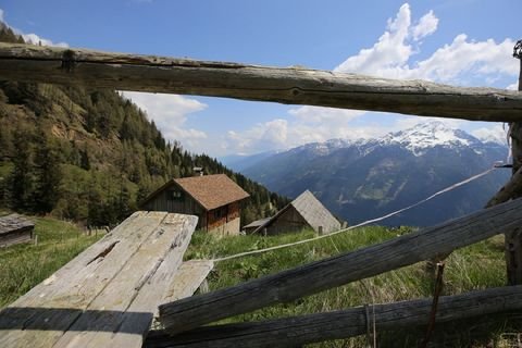 Mallnitz Bauernhöfe, Landwirtschaft, Mallnitz Forstwirtschaft