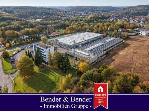 Wissen Halle, Wissen Hallenfläche