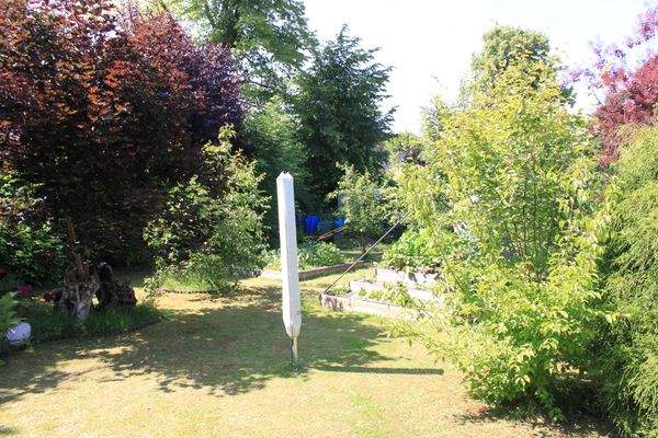 Gewachsener Garten mit Obstbäumen