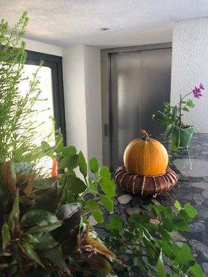 Eingangsbereich mit Aufzug.jpg