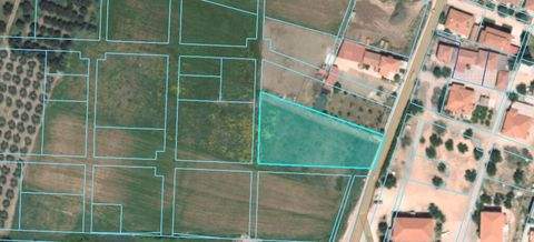 Chalkidiki Bauernhöfe, Landwirtschaft, Chalkidiki Forstwirtschaft