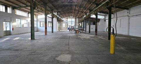 Neuötting Halle, Neuötting Hallenfläche