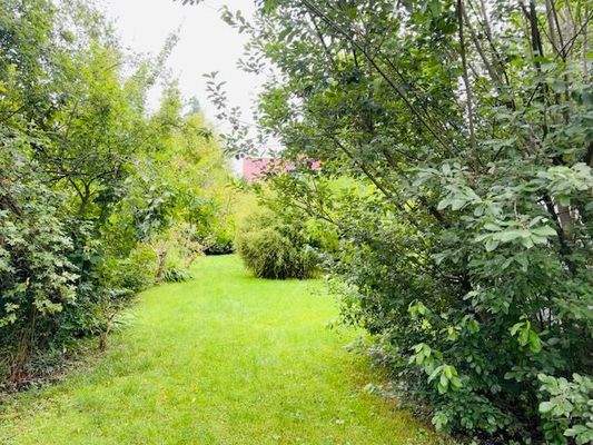 seitlicher Gartenbereich