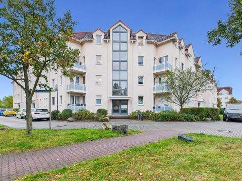 Borsdorf Wohnungen, Borsdorf Wohnung kaufen