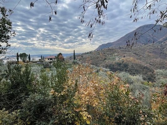 Ausblick in die Berge