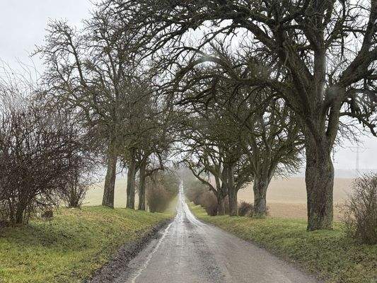 Zufahrt - Privatstraße