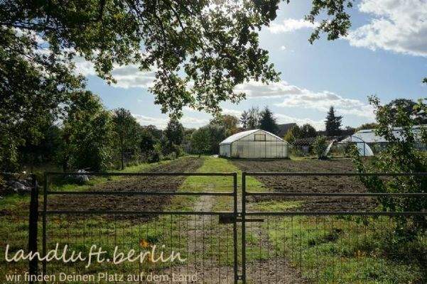 Zusätzliches Gartenland mit Gewächshaus des derzei
