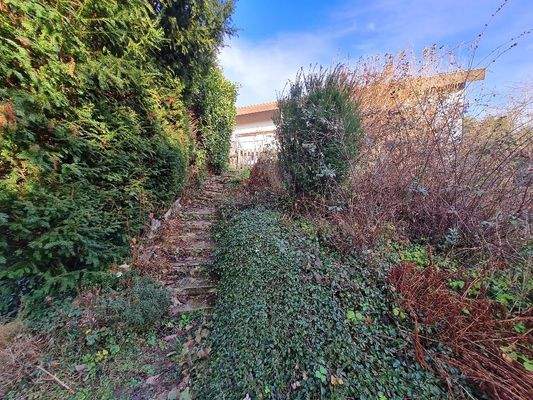 Aufgang zur Terrasse