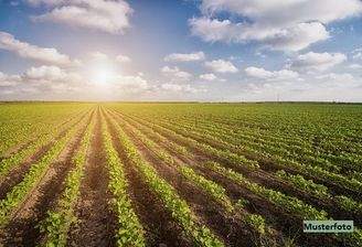 Keine Originalbilder