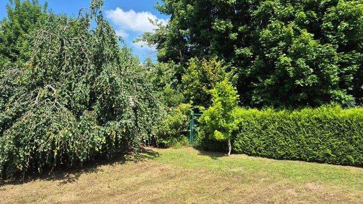 Das Grundstück ist größtenteils schon eingefriedet