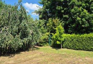 Das Grundstück ist größtenteils schon eingefriedet