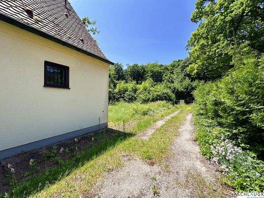 Hansansicht Altbestand