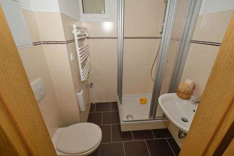 Hohenmölsen Wohnungen, Hohenmölsen Wohnung mieten