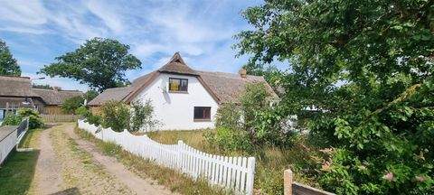 Born , Darß Häuser, Born , Darß Haus kaufen