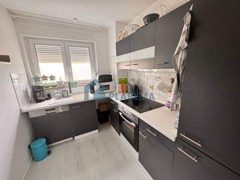 Neubrandenburg Wohnungen, Neubrandenburg Wohnung mieten