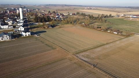 Asselfingen Bauernhöfe, Landwirtschaft, Asselfingen Forstwirtschaft