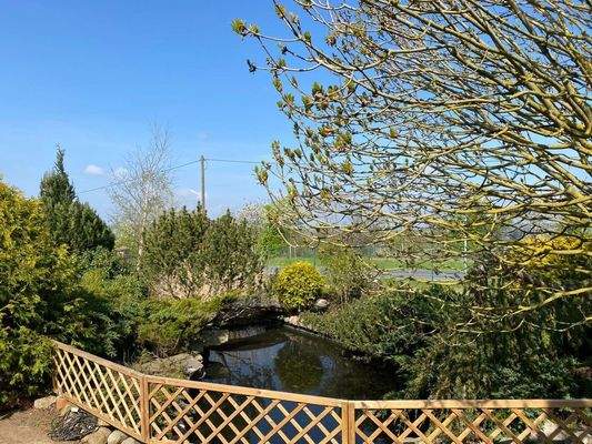 PHOTO-2025-02-14-14-38-44 (6)