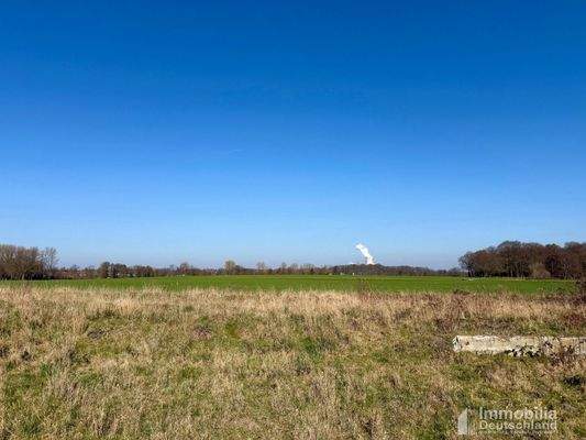 Blick über die grüne Lunge