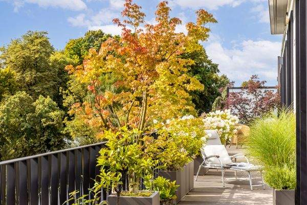 Wohlfühlort - Ostterrasse