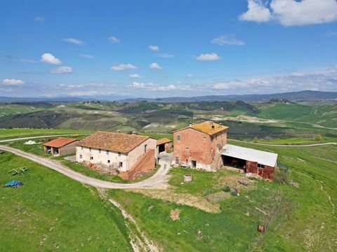Siena - Asciano Bauernhöfe, Landwirtschaft, Siena - Asciano Forstwirtschaft