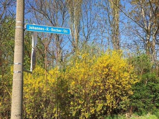 Johannes-R.-Becher-Str., Magdeburg