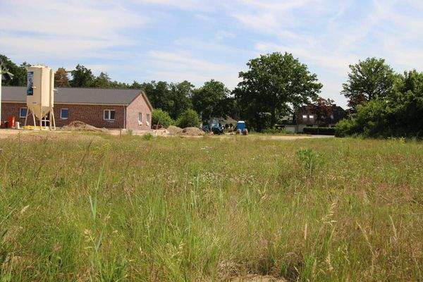 Bauplatz - Perspektive #3