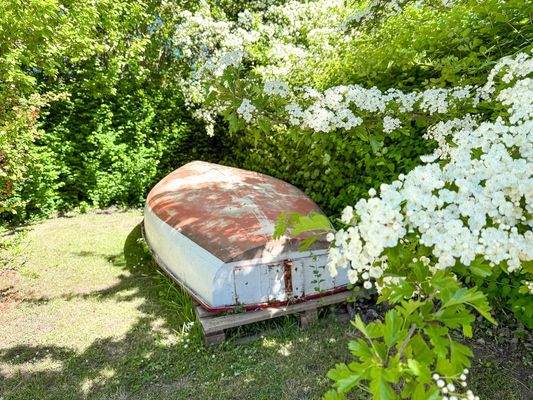 Detailaufnahme im Garten