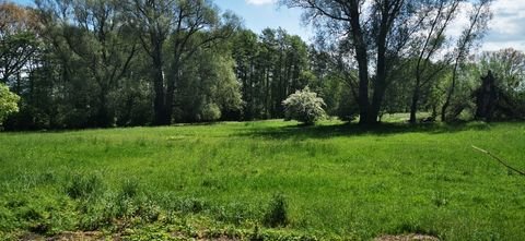 Löwenberger Land Grundstücke, Löwenberger Land Grundstück kaufen