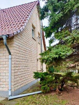 Esse für Kamin im Wohnzimmer