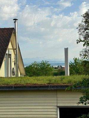 WhatsApp Image 2025-05-03 at 09.41.29 (6).jpeg