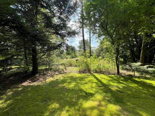 Hinterer Gartenbereich