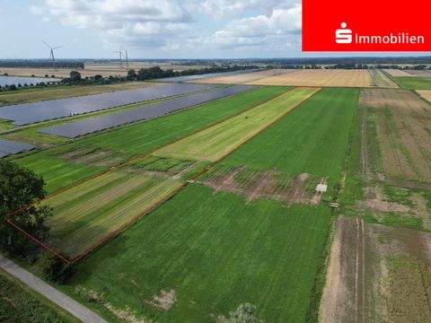 Krempe Bauernhöfe, Landwirtschaft, Krempe Forstwirtschaft