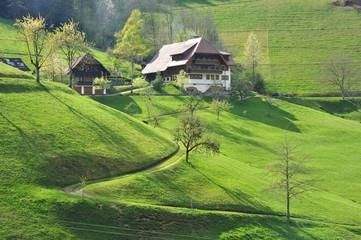 ... einfach direkt vor der Haustüre...