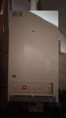 Gastherme ca. 10 Jahre alt 